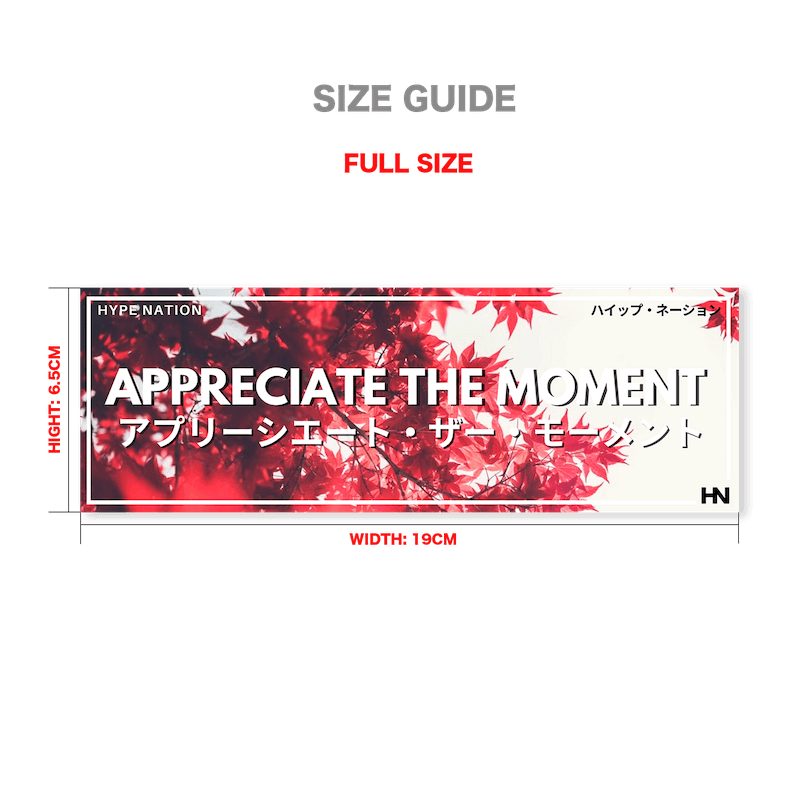 Appreciate the Moment - Slap Sticker - Hype Nation