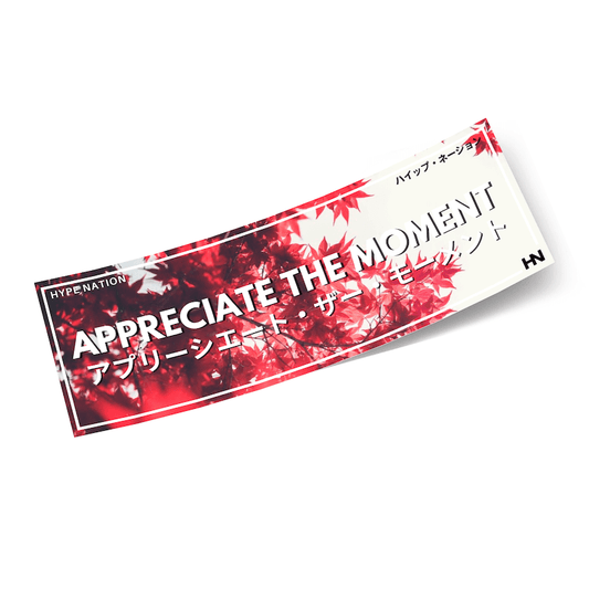 Appreciate the Moment - Slap Sticker - Hype Nation